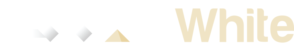 Logo: AXN White